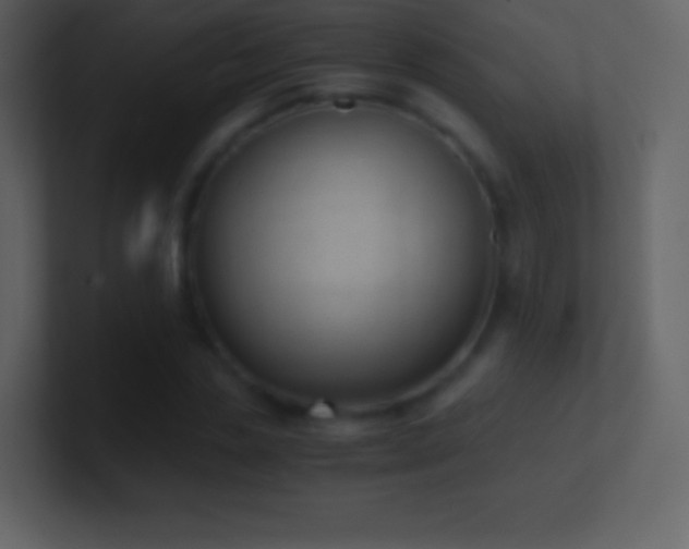 X0000101430829200807071340