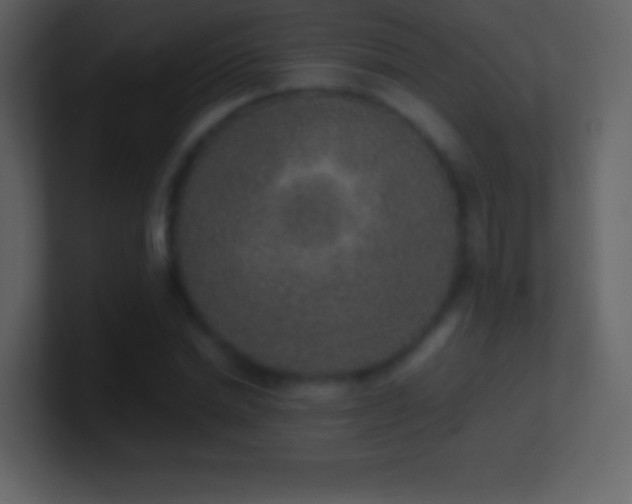 X0000101430830200807071340