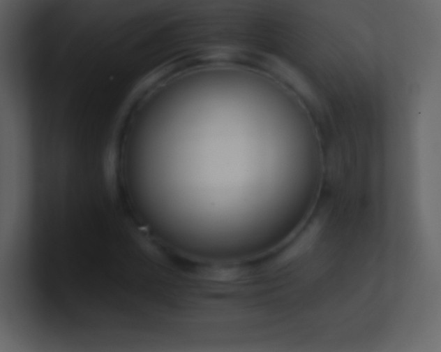 X0000101430831200807071340