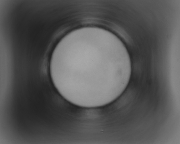 X0000101430832200807071340