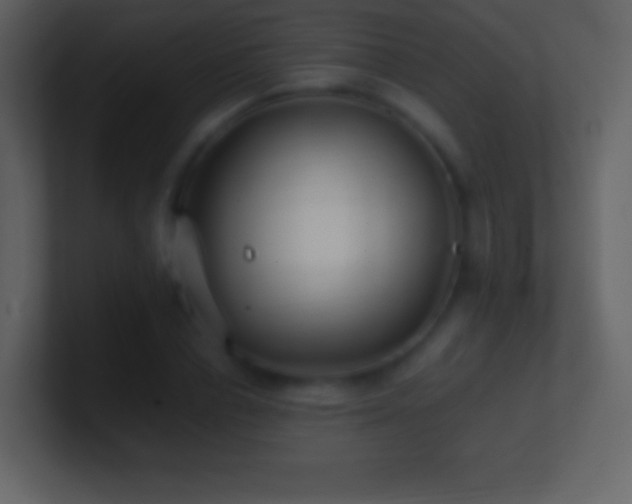 X0000101430834200807071340
