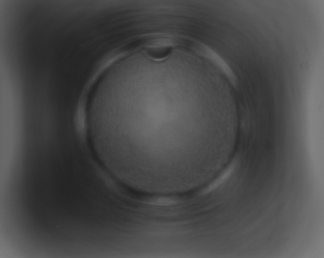 X0000101430835200807071340