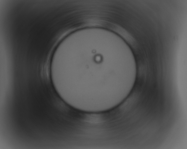 X0000101430836200807071340