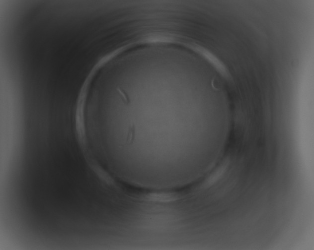 X0000101430840200807071340