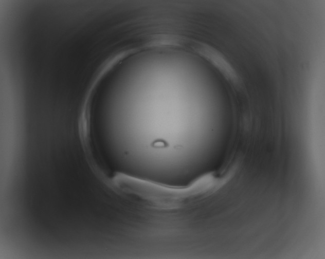 X0000101430844200807071340