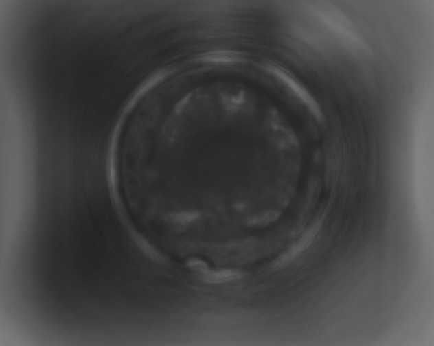 X0000101430853200807071340