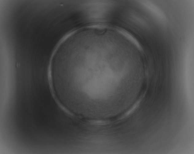 X0000101430855200807071340