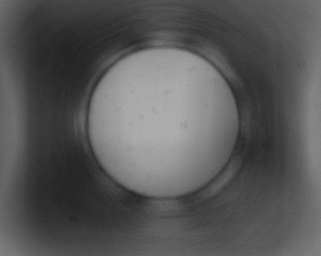 X0000101430856200807071340