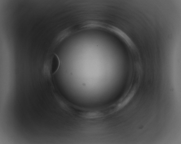 X0000101430857200807071340