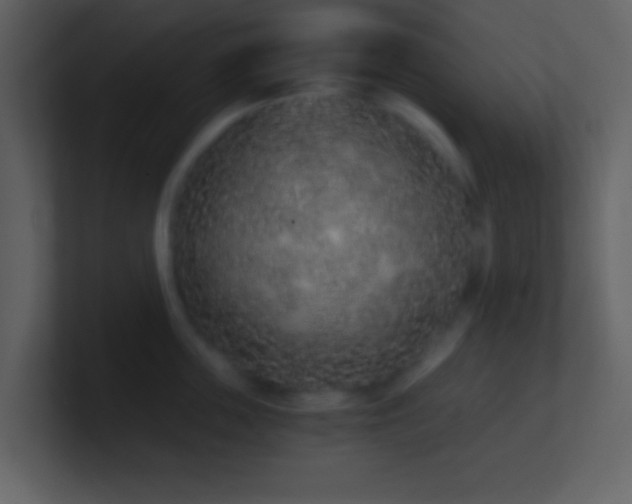 X0000101430859200807071340