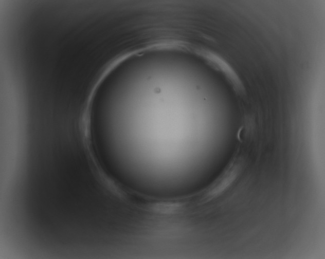 X0000101430860200807071340