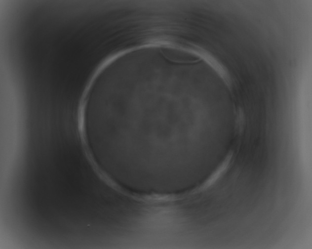 X0000101430862200807071340