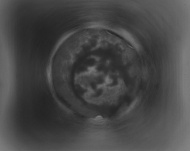 X0000101430863200807071340