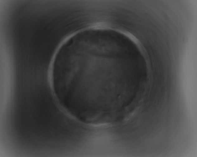 X0000101430864200807071340