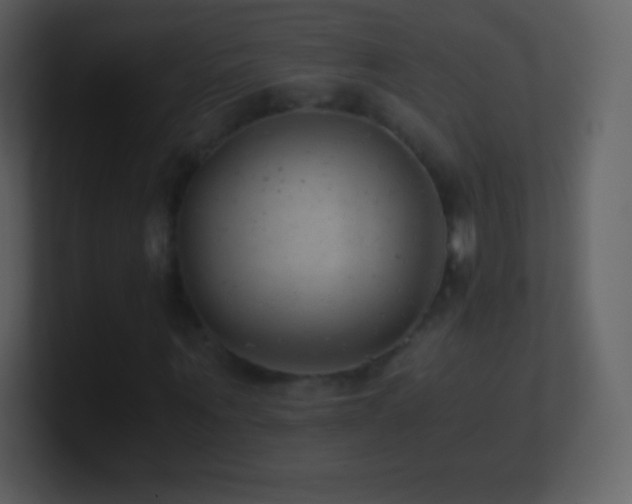 X0000101430867200807071340