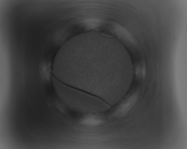 X0000101430868200807071340