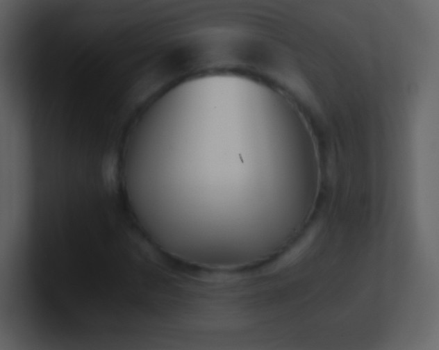 X0000101430873200807071339