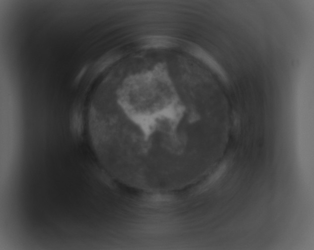 X0000101430874200807071339