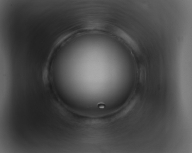 X0000101430876200807071339