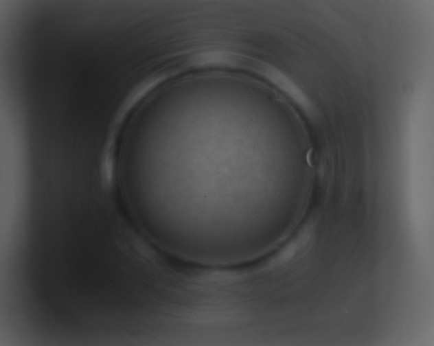 X0000101430877200807071339