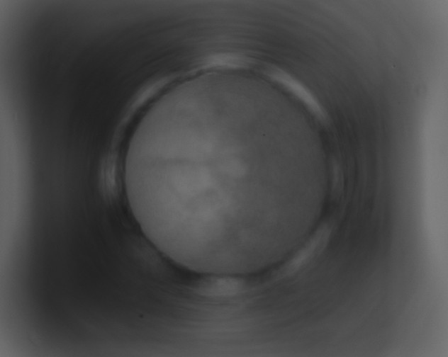 X0000101430878200807071339