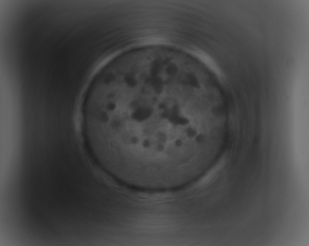 X0000101430879200807071339