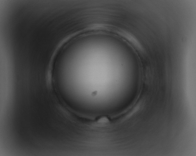 X0000101430880200807071339