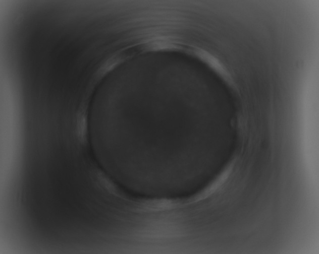 X0000101430881200807071339