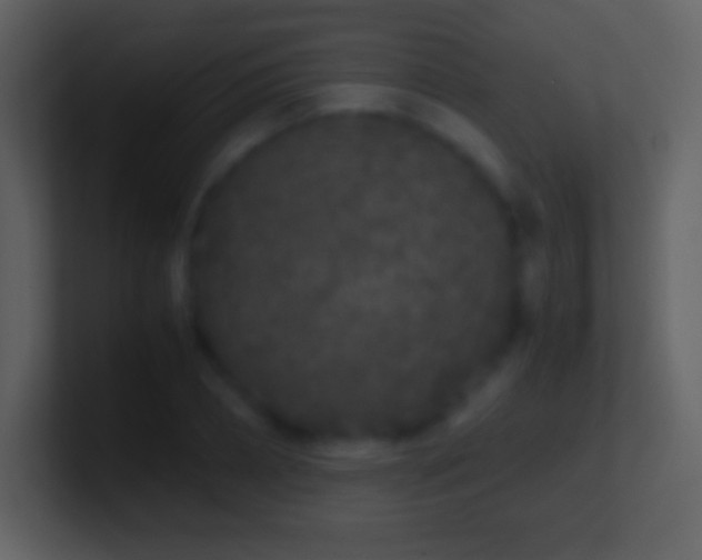 X0000101430882200807071339