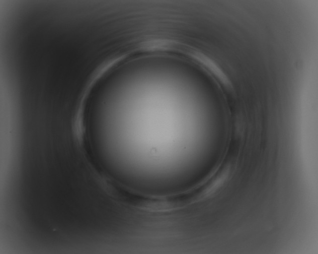 X0000101430885200807071339