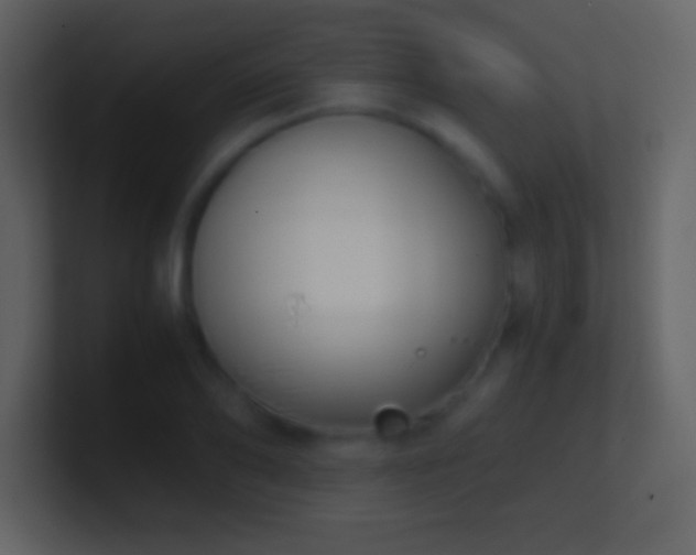X0000101430886200807071339