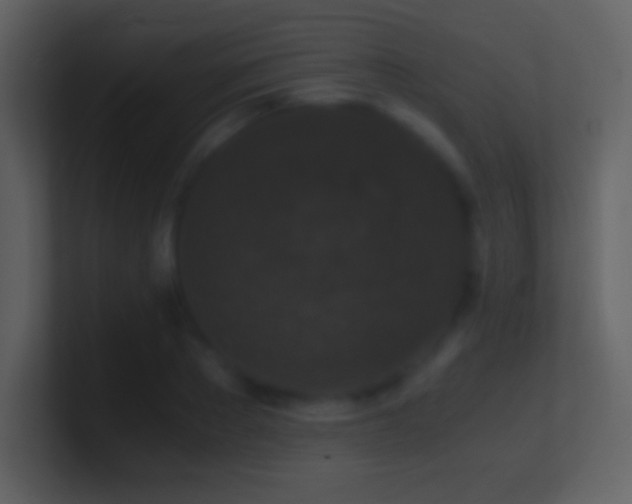 X0000101430889200807071339