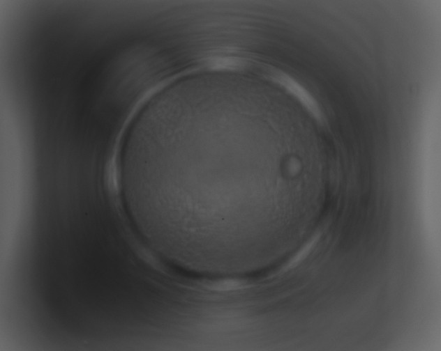 X0000101430891200807071339