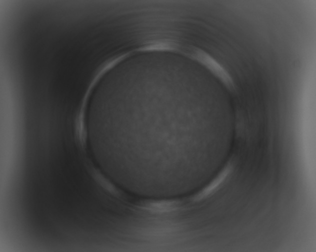 X0000101430892200807071339