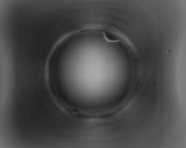 X0000101430894200807071339