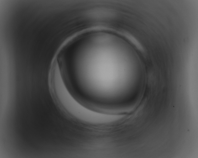 X0000101430895200807071339