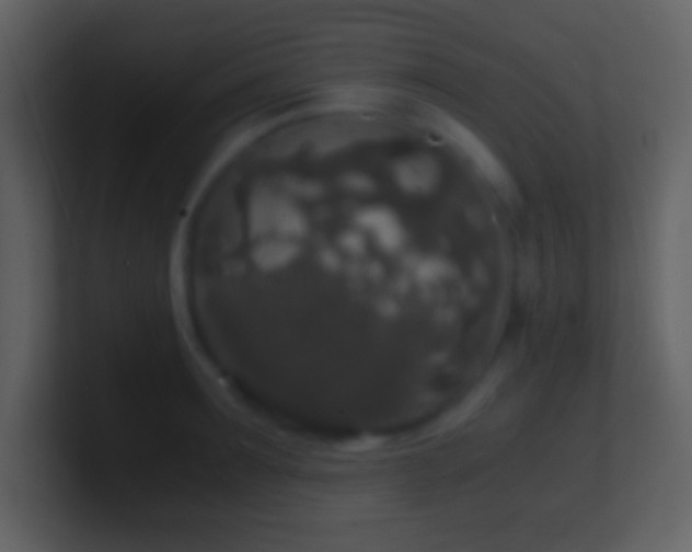 X0000101430899200807071339
