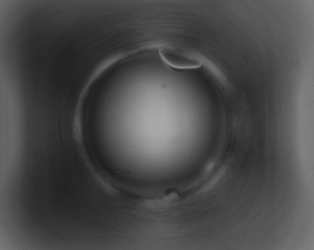X0000101430902200807071339