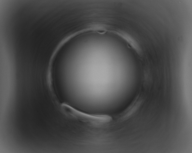 X0000101430904200807071339