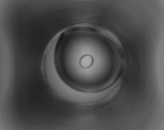 X0000101430908200807071339