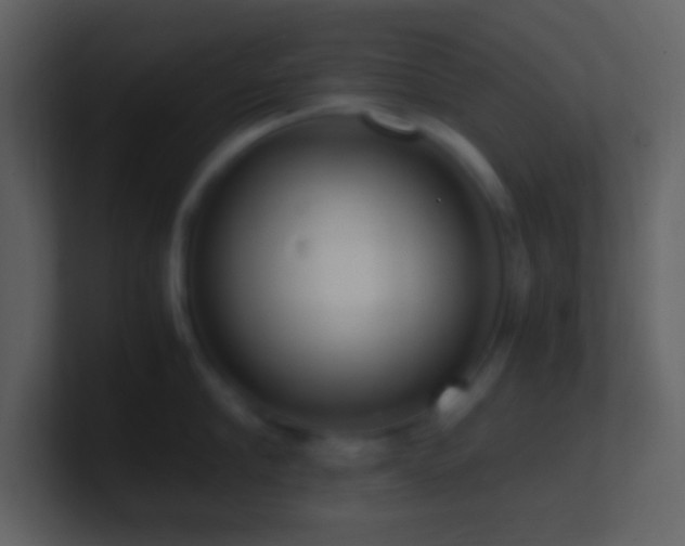 X0000101430910200807071339