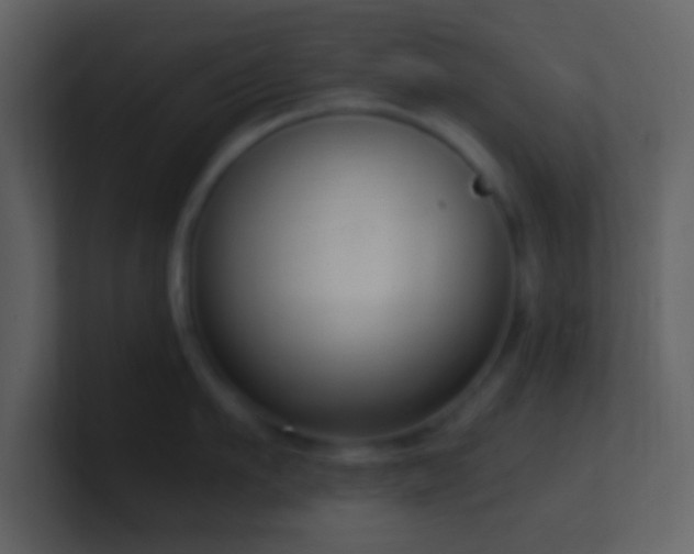 X0000101430911200807071339