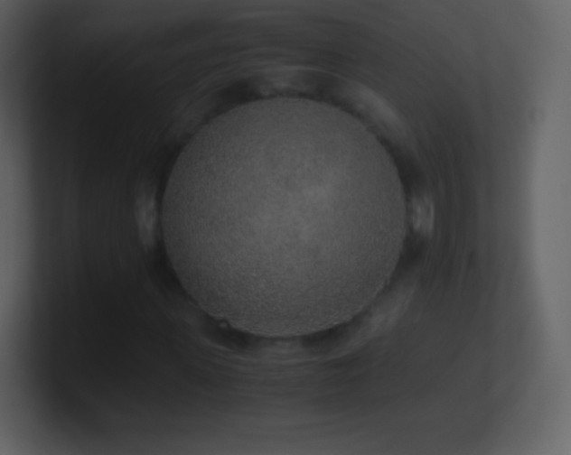 X0000101430915200807071338