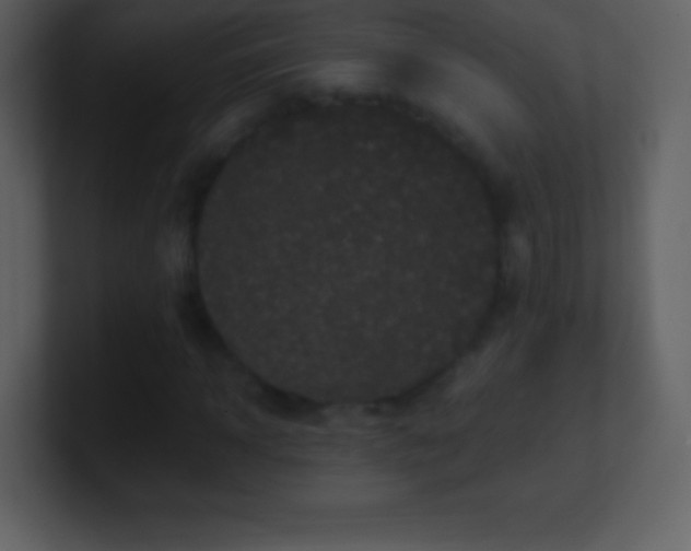 X0000101430918200807071338