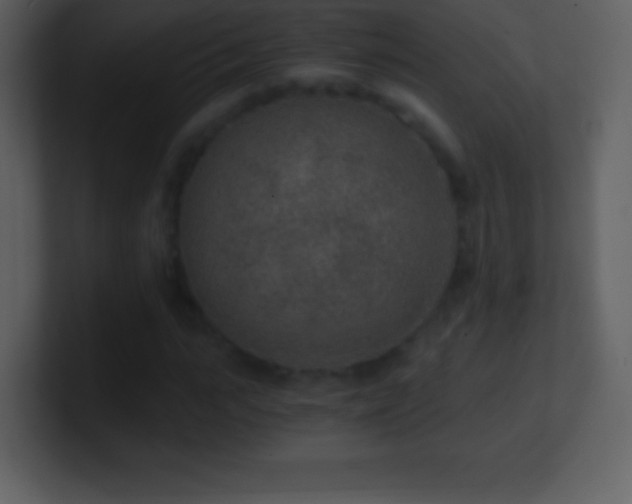 X0000101430919200807071338