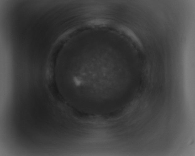 X0000101430920200807071338