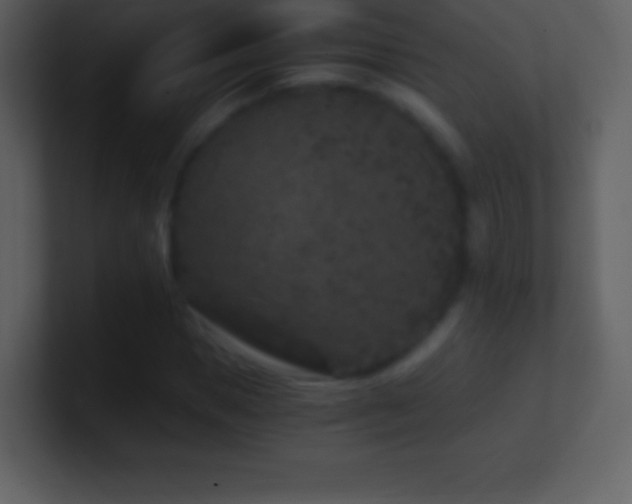 X0000101430921200807071338