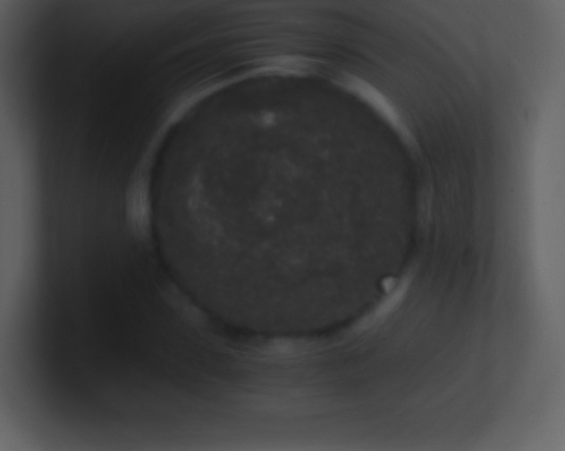 X0000101430923200807071338