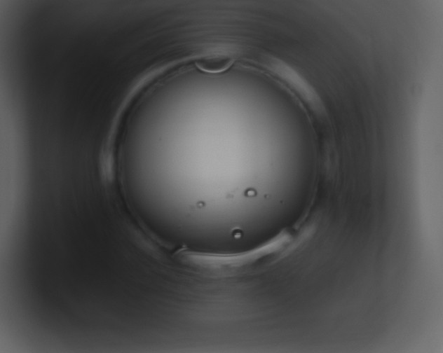 X0000101430924200807071338