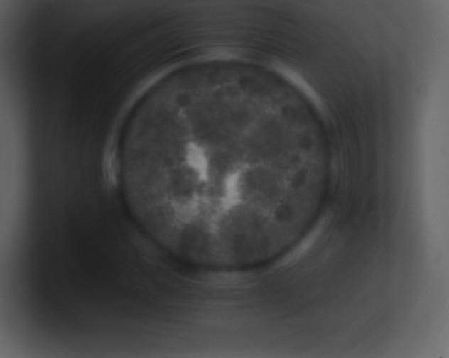 X0000101430925200807071338